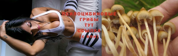 ешки Ладушкин