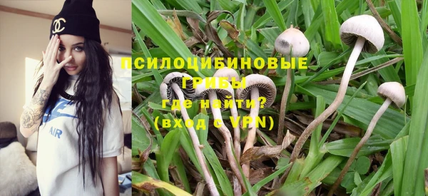 ешки Ладушкин