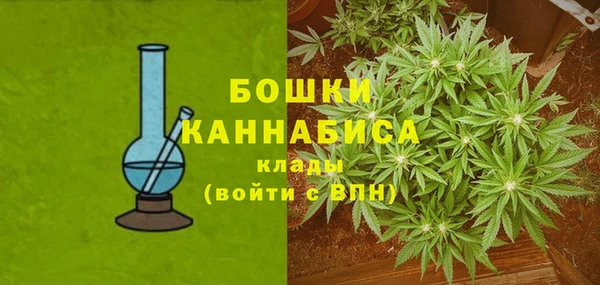 ешки Ладушкин