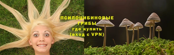ешки Ладушкин