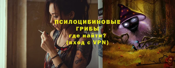 ПСИЛОЦИБИНОВЫЕ ГРИБЫ Лагань
