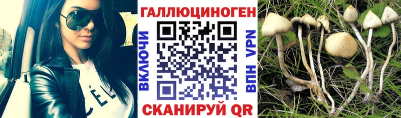 Галлюциногенные грибы Magic Shrooms  Купить  Всеволожск 